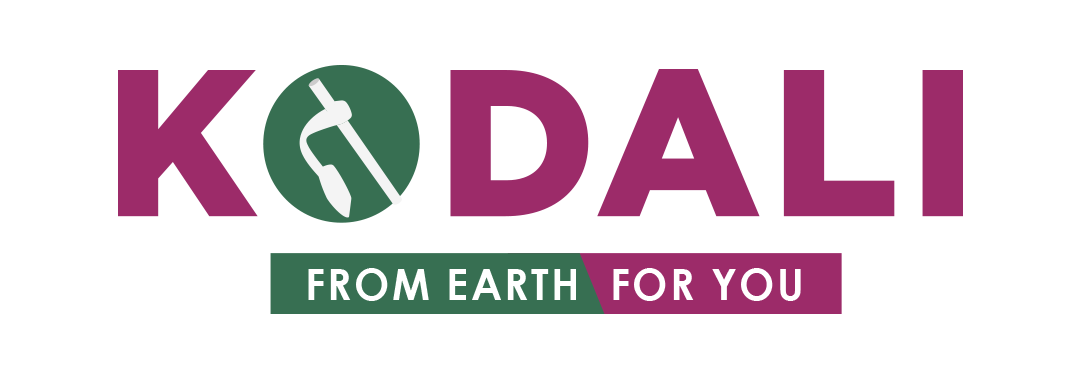 Comapny Logo